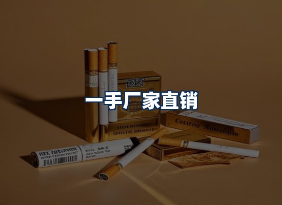 专业团队办公环境