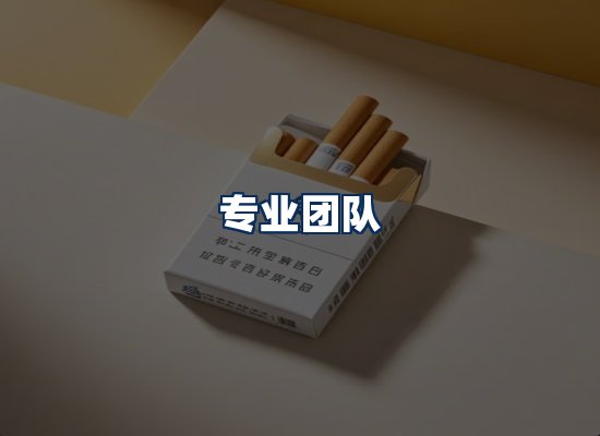 专业团队